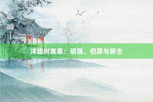洋蜡树寓意:顽强、但愿与新生